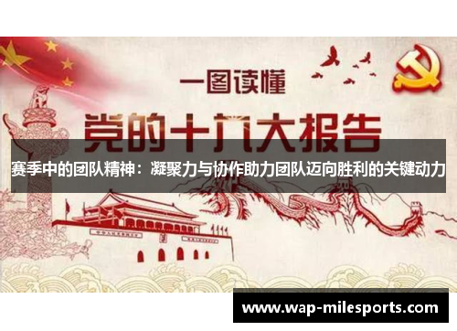 赛季中的团队精神：凝聚力与协作助力团队迈向胜利的关键动力