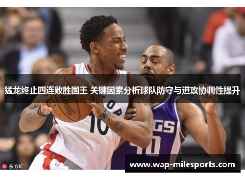 猛龙终止四连败胜国王 关键因素分析球队防守与进攻协调性提升