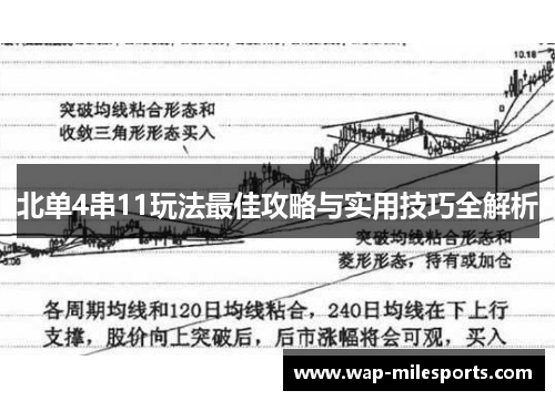 北单4串11玩法最佳攻略与实用技巧全解析